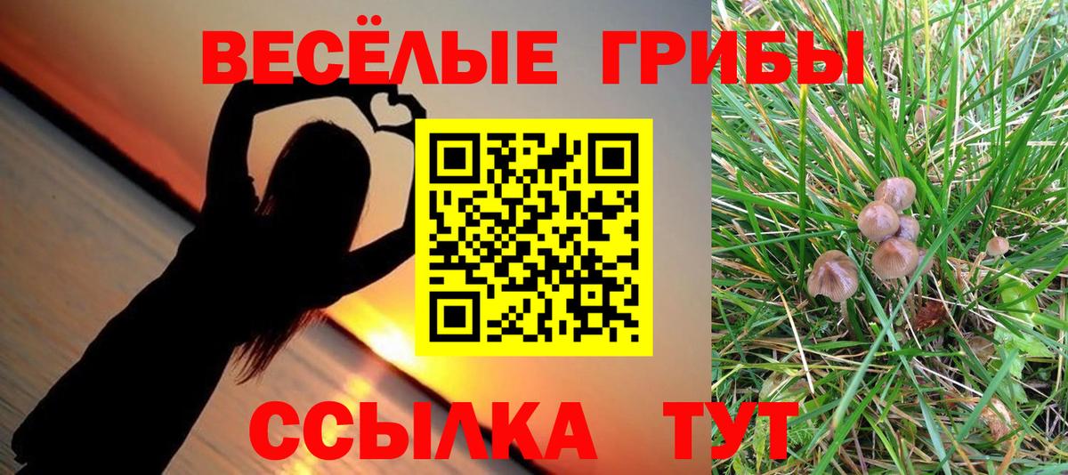 Галлюциногенные грибы прущие грибы Азнакаево