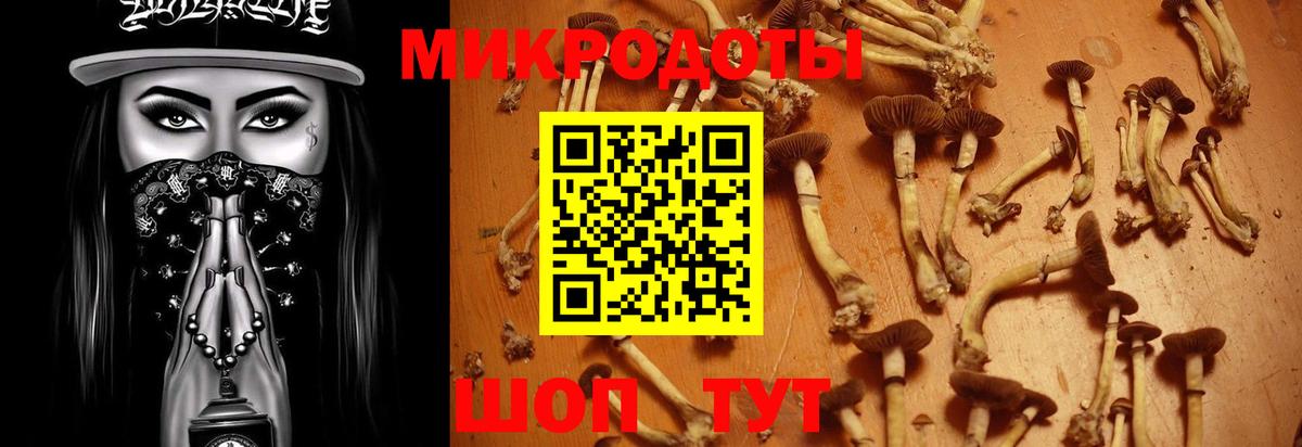 Азнакаево  Псилоцибиновые грибы мухоморы  Вход с VPN 